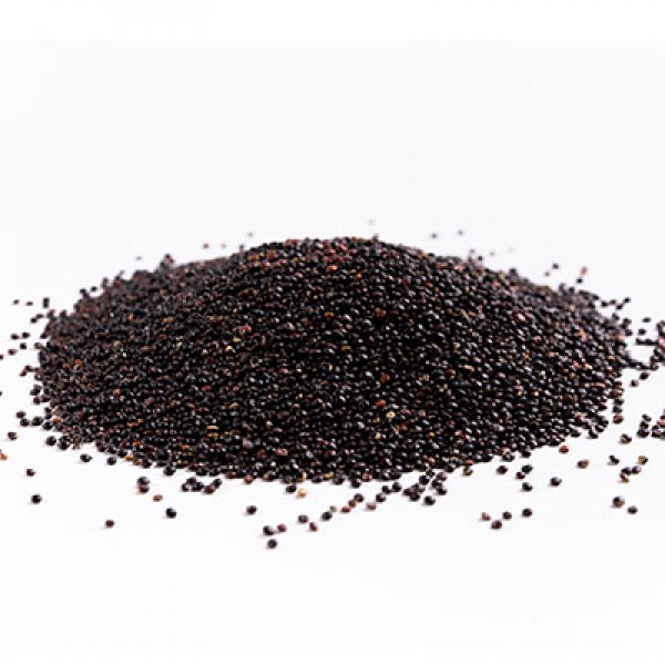 Quinoa Noir Bio 100g