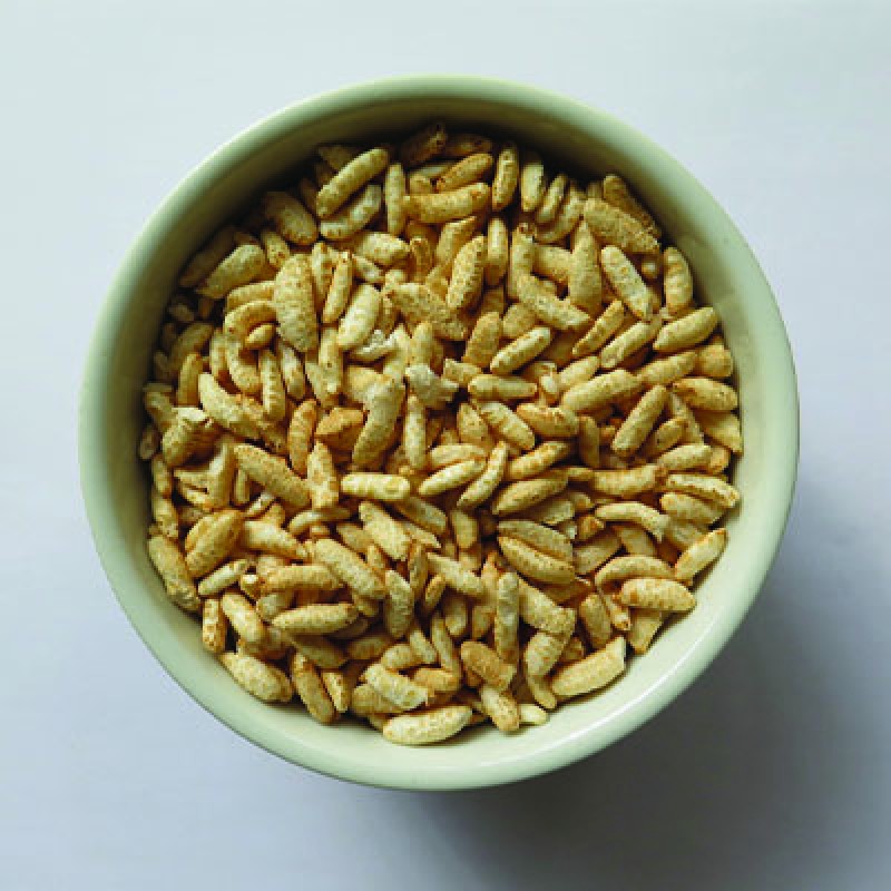 Friandises riz soufflé 100% vegan chien Rice Strip Ossobello bordeaux 6 pcs